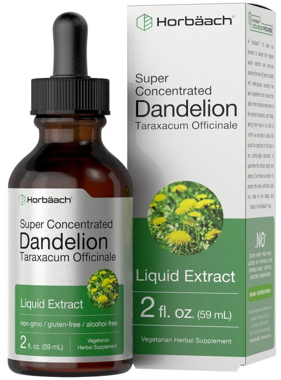 Horbäach Dandelion Root Extract, alcohol-free liquid tincture, 2 fl oz bottle