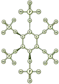 IP6 inositol hexaphosphate illustration